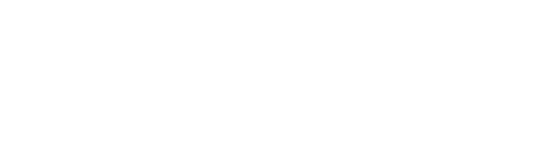 智脑竞速基金会